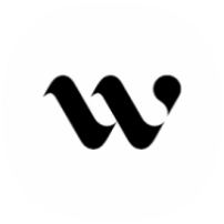 Wiser icon