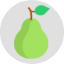 Pear Launcher icon