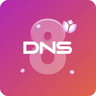 DNS icon