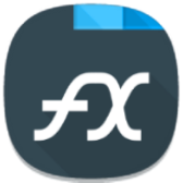 FX icon