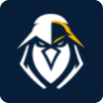 eEagle VPN MOD icon