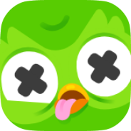 Duolingo icon