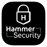 Hammer icon