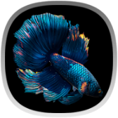 BETTA icon