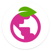 Berry Browser icon