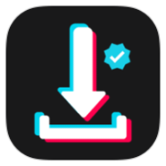 AhaTik Downloader icon