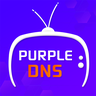 Purple DNS icon