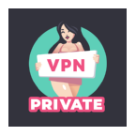 VPN Private icon