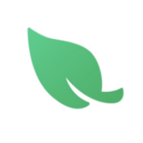 LeafVPN icon