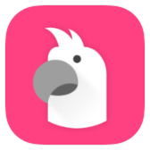 SayIt icon