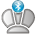CHESS icon