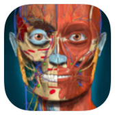 Anatomy Learning icon