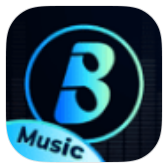 Boomplay icon