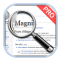 Magnifier icon