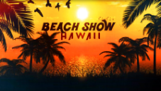 BEACH SHOW icon