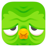 Duolingo icon