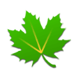 Greenify  icon