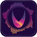 Vythm icon