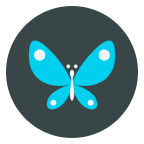 Timus Spin icon
