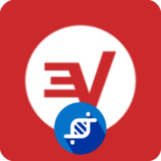 ExpressVPN icon