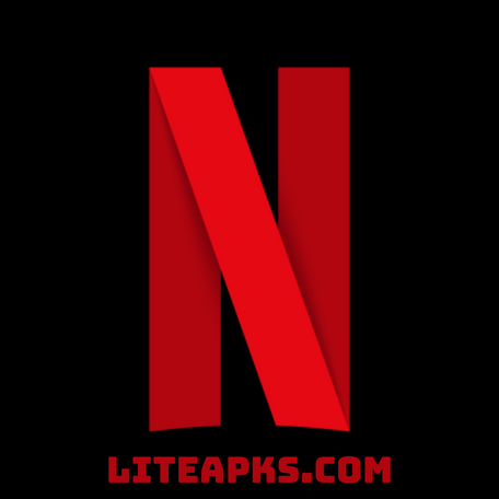 Netflix SV1 icon