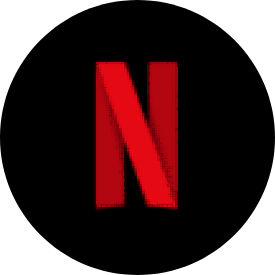 Netflix icon