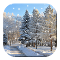 Snow live wallpaper icon