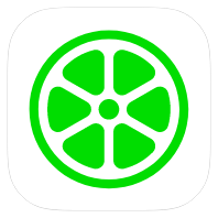 Lime icon