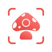 Picture Mushroom icon