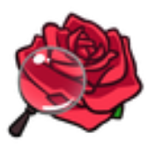 Romance Detective icon