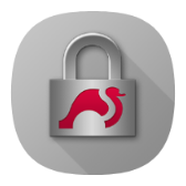 strongSwan VPN Client icon