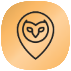 Randonautica icon