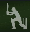 THE CRICKET ZONE icon