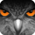 EagleEyes icon