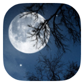 Relax Night icon