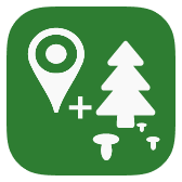 Forest Navigator icon