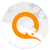 QIWI icon