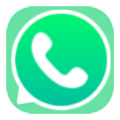 WhatsApp icon