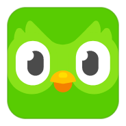 Duolingo icon