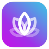 Color icon