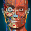 Anatomy Learning icon