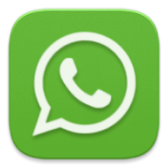 WhatsApp icon