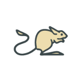 Jerboa icon