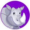 RYN VPN icon