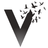 v4freedom icon