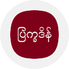 MmYearX icon