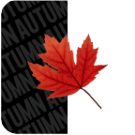 Autumn KWGT icon