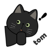 TomVPN icon