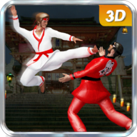 Karate Fighting icon