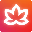 Meditative Mind icon